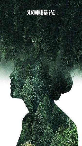 QuickArt一键p图图1