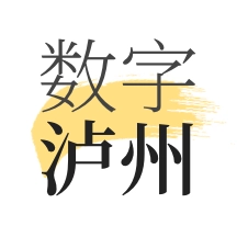 数字泸州