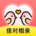 佳对相亲软件