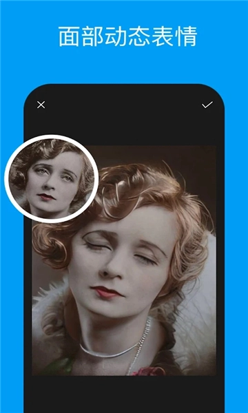 pixeleap软件截图1