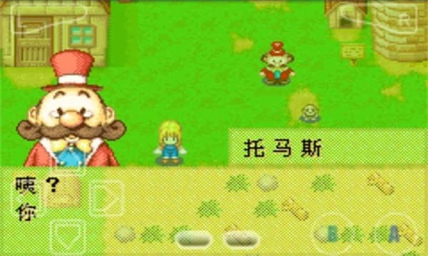 牧场物语女孩版图3