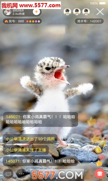 好鸡友软件图2