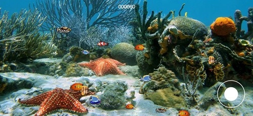 大鱼我不怕你图1