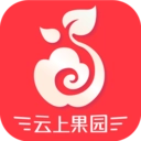 云上果园最新版