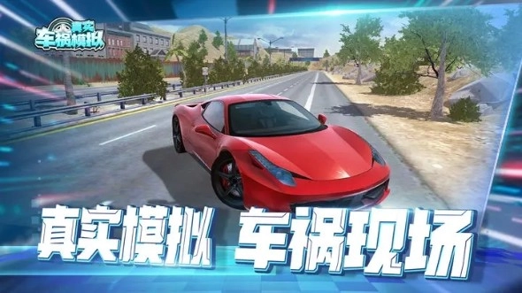 真实车祸模拟器(3)