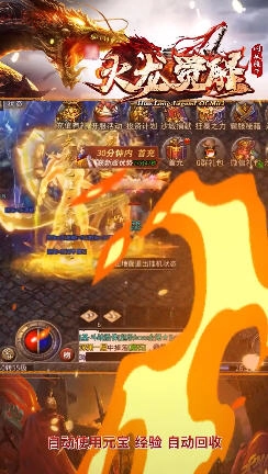 网辰火龙觉醒安卓版