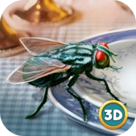 苍蝇模拟器3d游戏