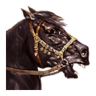 骑马与砍杀战团安卓版