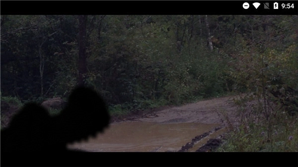 五夜与青蛙2图3