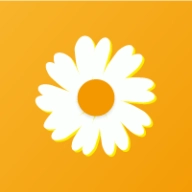 雏菊平台微信辅助官方版