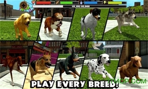 野狗生存模拟器3D4