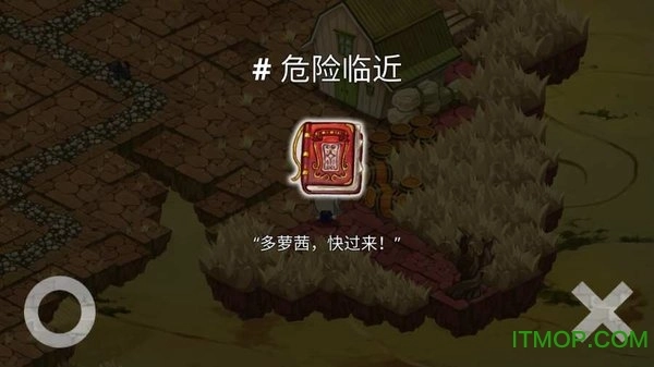 黃金之路綠野仙蹤圖4