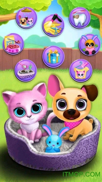 我的宠物美容店