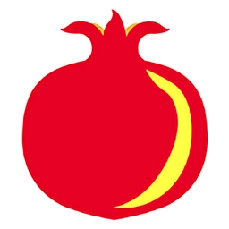 石榴云诊软件 v7.8.0安卓版