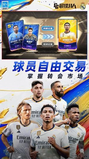 最佳11人最新版图5